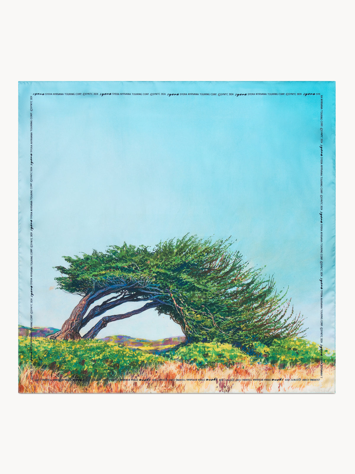 Product thumbnail image