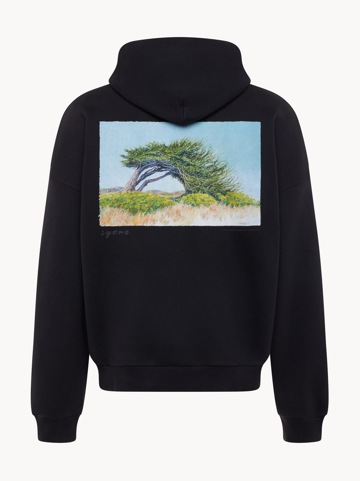 Product thumbnail image